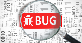 Bug Bounty Programmes