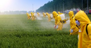 Pesticide Paradox in Software Testing