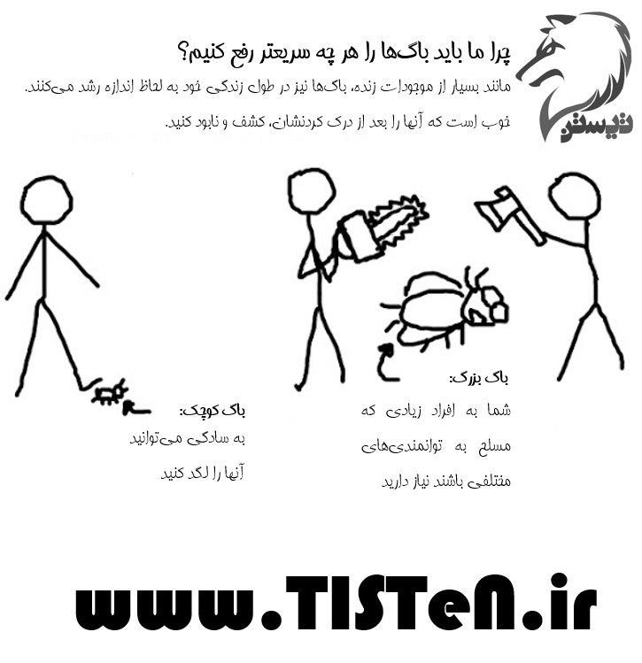 حمله به باگ‌ها