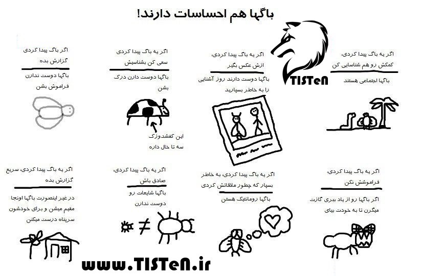 نکاتی که باید پس از دیدن یک باگ رعایت کنید