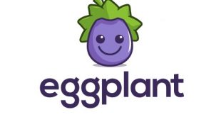 Eggplant-Performance Index