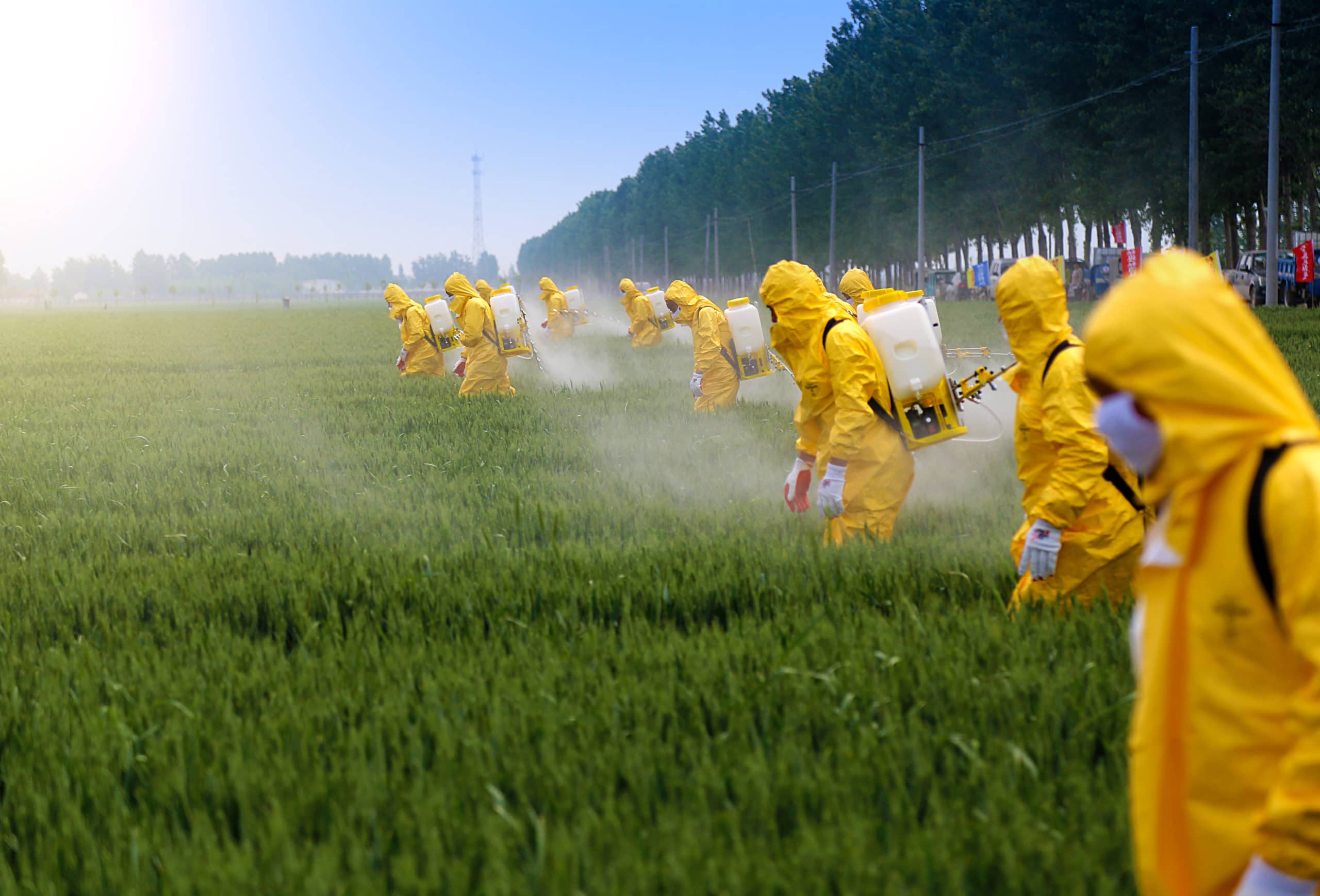 Pesticide Paradox in Software Testing